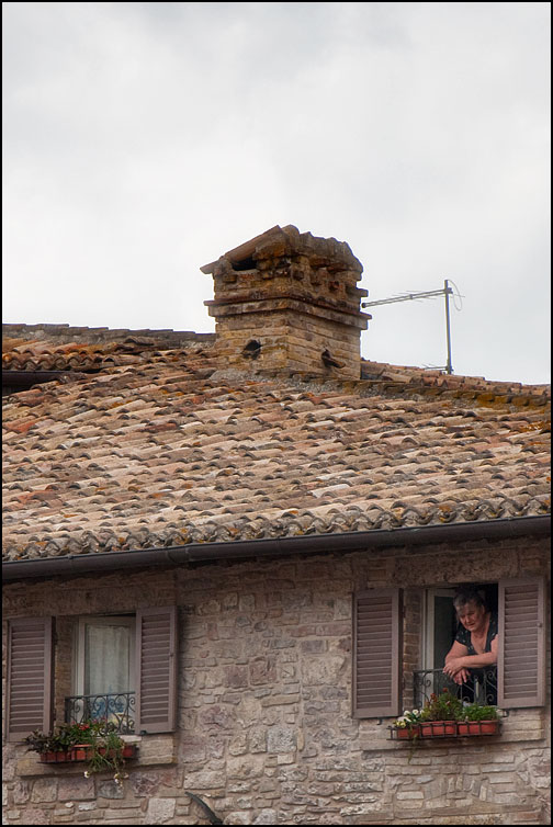 Kvinna i fönster