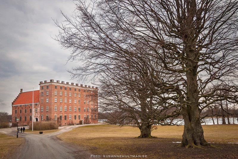 Svaneholms slottsallé med slottet och stora träd