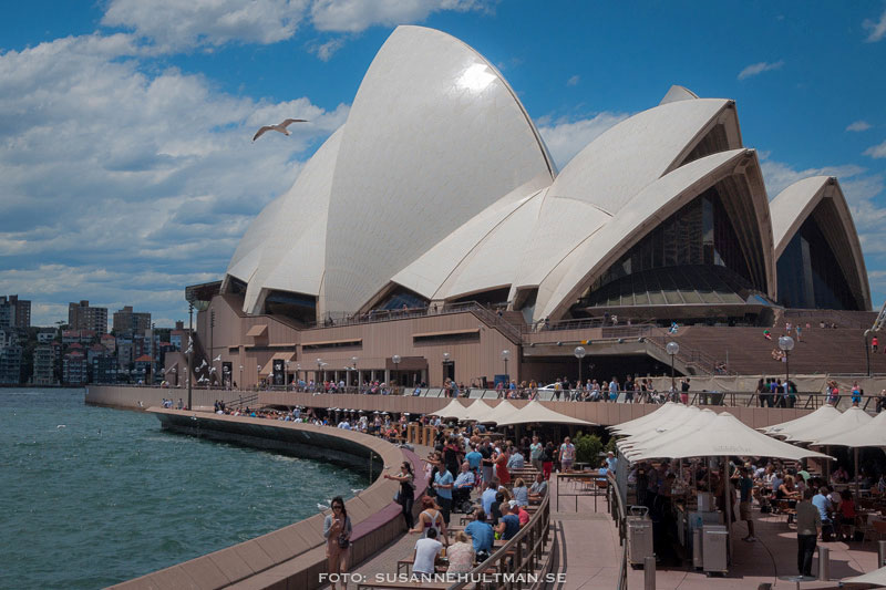 Sydney Opera House från kajen vid Opera Bar