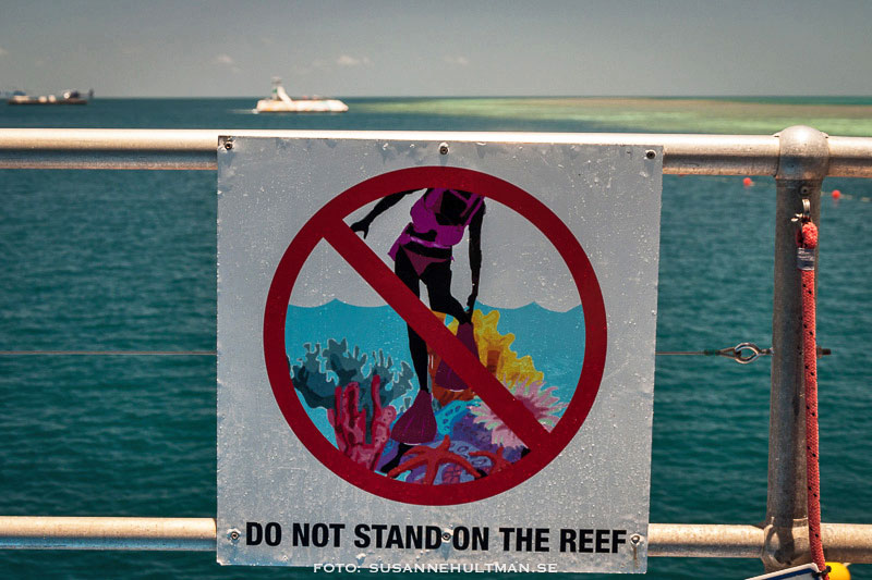 Förbud att gå på korallerna