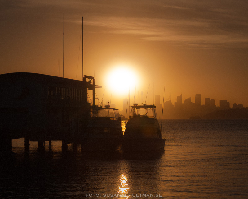 Solnedgång över havet mot Sydney