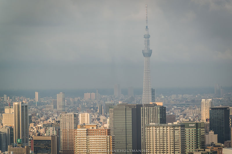 Utsikt över byggnader med Tokyo Tower