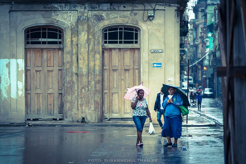 Kvinnor med paraply