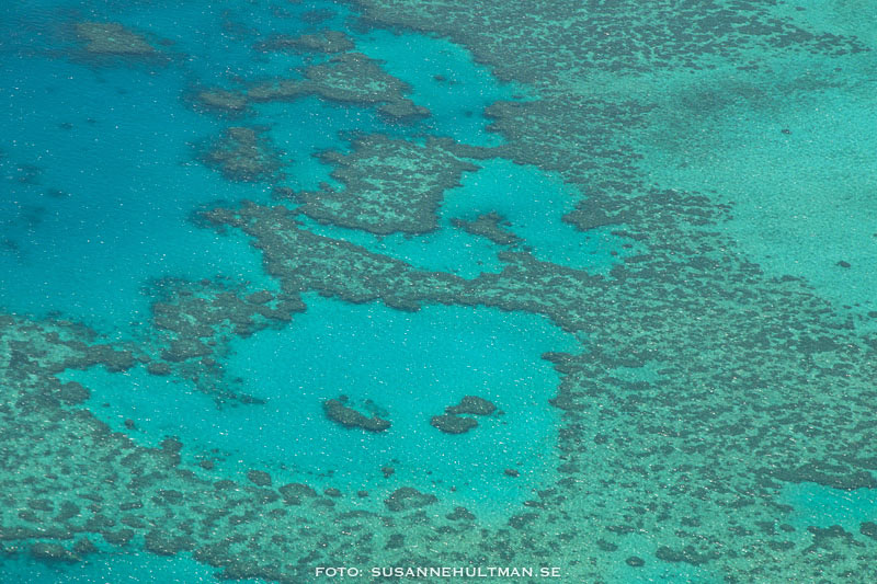 Flygbild över Stora Barriärrevet