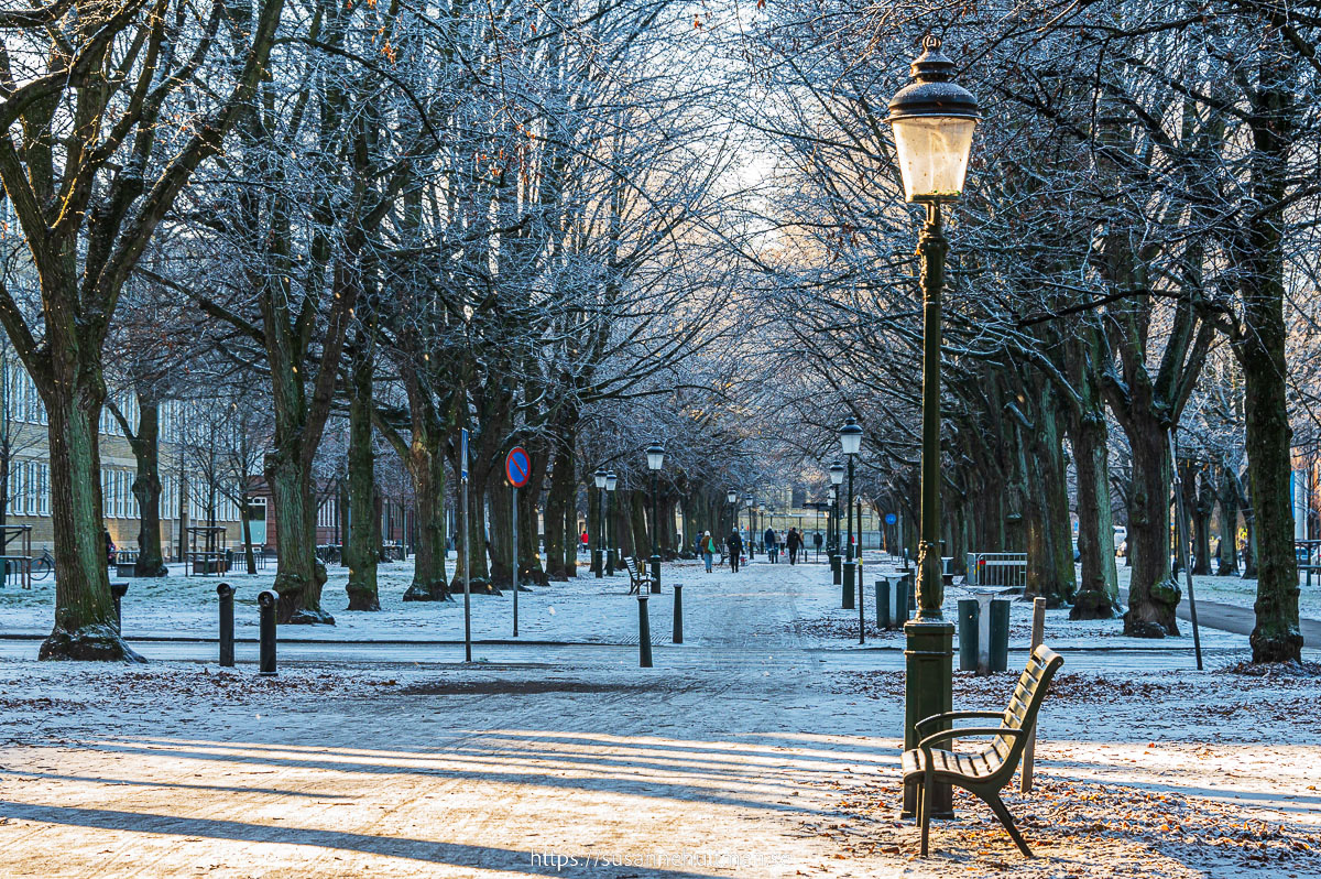Snöig gångväg i Malmö med lyktstolpe i förgrunden.